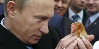 Image result for donald trump putin