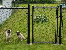 4 Foot Black Chain Link Fence Gate Decorative Black Chain Link Fence Gate In 2020 Black Chain Link Fence Dog Fence Small Dog Fence