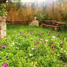 Information on yoga garden studios as contacts, web site, email, phone, (310 4500133), opening hours, address (2236 26th street ) and images. Hosting Only Couples To Help With Reforming And Babysitting At A Yoga Centre In South Tenerife Spain
