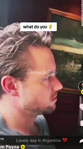 Liam Payne Falling in Reverse: A Creative Edit by Donna