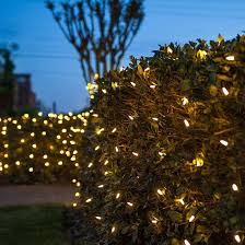 M5 Led Net Lights Warm White Green Wire Yard Envy Net Lights Outdoor Christmas Lights Warm White