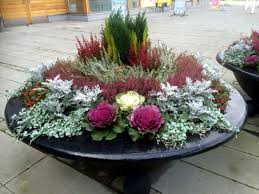 Hierzu gehören beispielsweise schneeglöckchen, die glockenblume oder der lavendel. Aven Vintervaxter Kan Vara Fina Winterpflanzen Pflanzen Bepflanzung