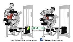 Pin By Serkan Akcan On Abs Workout Best Ab Workout Abs Workout Ab Workout Men