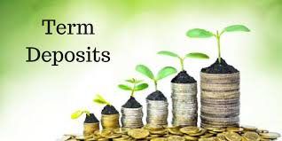Term Deposit | Flexible Fixed Term Deposits | Aion Bank