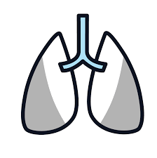 The average life expectancy for stage 4 patients is 6 to 12 months. Stage 4 Mesothelioma Symptoms And Prognosis