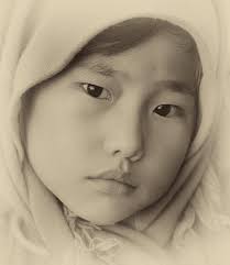 Chris Traill — PhotoForum