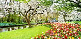 Tentu saja, masih ada spot lain di taman langit yang harus dicoba. Beautiful Garden Wallpaper Latest Version For Android Download Apk