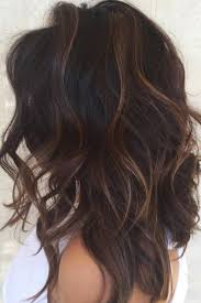 Parisa Hair Balayage Brunette Long Shag Haircut Balayage Hair