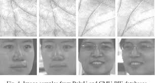Feature fusion of palmprint and face via tensor analysis and curvelet  transform