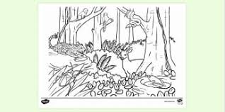 Home is where the habitat is! 10 000 Top Habitat Colouring Teaching Resources