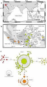 Nickname for a player of the bagpipes, from slavic duda 'bagpipe'. Highly Restricted Gene Flow And Deep Evolutionary Lineages In The Giant Clam Tridacna Maxima Springerlink