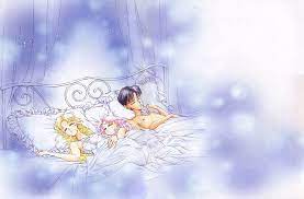Maybe you would like to learn more about one of these? Hd Wallpaper Animal Bed Cat Chiba Chibiusa Diana Mamoru Moon Sailor Wallpaper Flare