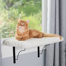 The burnside wall mounted cat perch offers an ideal solution for cats of all shapes and sizes. Whisker City Foam Plush Window Perch Cat Window Perches Petsmart