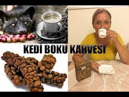 Kedi Boku Kahvesi Ictim Dunyanin En Pahali Kahvesi Kopi Luwak Coffee Youtube