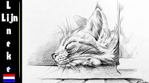 Dieren tekenen moeilijk hond written by posted on. Kat Tekenen Voor Beginners Grafiet Potlood Tekening Youtube