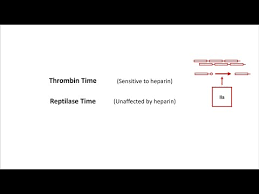 Image result for Thrombin Time