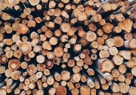 Kayu yang paling sering digunakan sebagai hiasan aquascape adalah kayu rasamala yang kayu branch cukup populer di kalangan aquascaper indonesia, terkenal dengan. Kenali Jenis Tekstur Kayu Dan Cara Finishing Cat Yang Maksimal Pengadaan Eprocurement