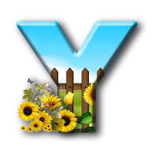 If the student tells you the letter name instead of the letter sounds, say: Buchstabe Letter Y Alphabet And Numbers Alphabet Symbols