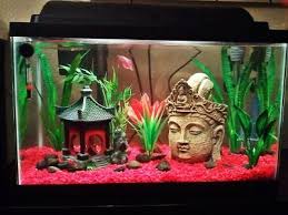 Top Fin 10 Gallon Hooded Aquarium Aquariums Petsmart Fish Tank Themes Fish Tank Decorations Cool Fish Tanks