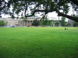 Image result for st george campus university of toronto