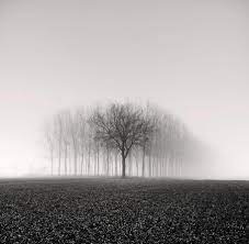 Rtopnb On Twitter Nature Photography Landscape Landscape Photography
