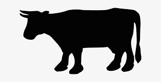 We did not find results for: Beef Cattle Holstein Friesian Cattle Calf Dairy Cattle Cow Silhouette Png Image Transparent Png Free Download On Seekpng