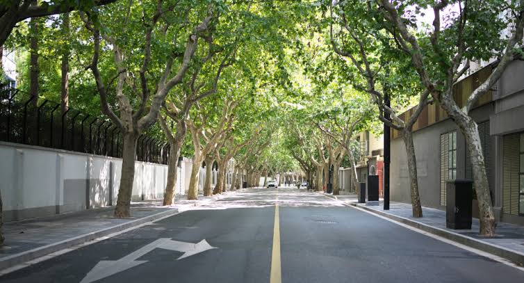 Former French Concession