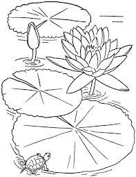 This particullar coloring image dimension is about 600 pixel x 776 pixel with approximate file size for around 74.57 kilobytes. Free Colouring Sheets Lotus Flowers For Kids 45888 Lily Pad Drawing Flower Coloring Pages Flower Drawing