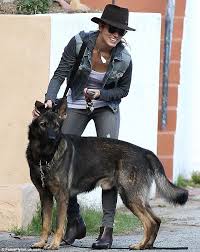 Www seasite niu edu indonesian kartun apotik. 30 Ide Herder Anjing Anjing Penggembala Jerman Gambar Kucing Besar