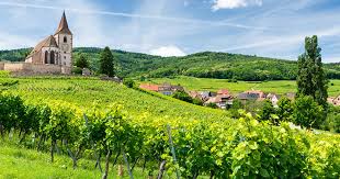 Alors, n'hésitez pas à consulter régulièrement notre site ! Location De Vacances Haut Rhin Gites De France