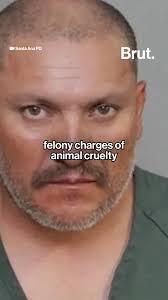 A Santa Ana man, Alejandro Oliveros Acosta, has been charged with felony  animal cruelty after allegedly luring and attacking cats over several  months. Authorities say he used food to bait the animals, ...