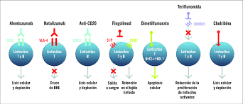Tratamiento de las crisis de esclerosis múltiple. Esquema Del Mecanismo De Accion De Los Tratamientos Con Indicacion Para Download Scientific Diagram