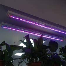 It operates on 115 volts and 1725 watts. This Item Is Standard 4ft T8 Led Tube For Plant Growing 240 Red Led And 48 Blue Led Are Included It Only Grow Lights For Plants Grow Light Bulbs Blue Plants