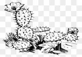 There are 597 cactus clipart black for sale on etsy, and they cost 3,81 € on average. Cactus Flower Clip Art Transparent Png Clipart Images Free Download Clipartmax