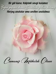 Cuma mesajları göndermek artık cuma günlerinin vazgeçilmezleri arasında! Cuma Mesajlar Hayirli Cumalar Hayirli Cumalar Hayirlicumalar Hayirlicumalar Guzel Cicekler Pembe Gul Guller