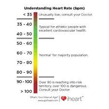 What Is A Normal Resting Heart Rate Adam Sharp Medium