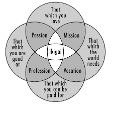 What Is Your Ikigai The View Inside Me