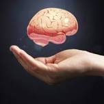 The Remarkable Aging Brain: Myths, Facts, and Strengths