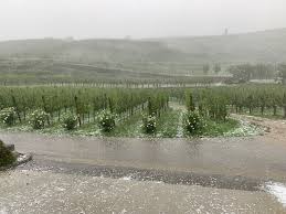 Hagel on gwg in cbj. Hagel Zerstort 100 Hektar Weinberge