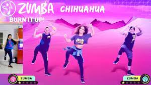 Chihuahua Zumba Burn It Up Fitness Warm Up Haute Intensite Nintendo Switch Youtube