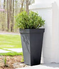 We did not find results for: Choosing The Right Boxwood Shrub For Your Landscaping Plank And Pillow