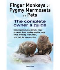 We did not find results for: Finger Monkeys Or Pygmy Marmosets As Pets Including Information On Baby Finger Monkeys Finger Monkey Adoption Cage Setup Breeding Colors Facts Buy Finger Monkeys Or Pygmy Marmosets As Pets Including Information On