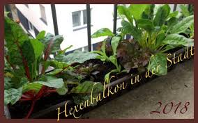 Hexenbalkon Viii 2018 Bewasserung Mit Dem Micro Drip System Von Gardena Atessa