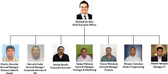 Corporate Structure Telecom Fiji Limited