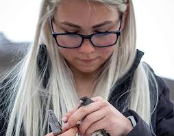 Experiential Learning