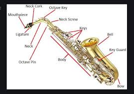 Este es solo un fragmento de lo que podrás aprender en las clases de saxofon que tenemos en. Aprender Tocar Saxofon Tipos De Saxofones For Android Apk Download