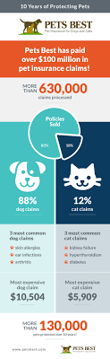 The company was founded in 2005 and carries an a+ grade with the bbb. Pin On Pet Infographics