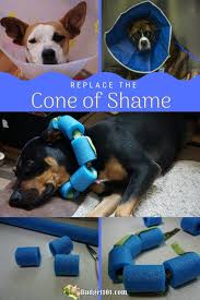 The cone of shame certainly gets the job done, but sleeping, eating, drinking, and generally being a dog can be tough while wearing a giant white lampshade. Replace The Cone Of Shame Diy Medical Collar Pool Noodle Collar Cone Of Shame Dog Cone Diy Dog Stuff