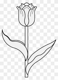 Gambar bunga kartun hitam putih untuk mewarna aneka sumber anekagambar13.blogspot.com. Tulip Flower Clipart At Getdrawings Gambar Bunga Tulip Hitam Putih Png Download 915347 Pinclipart