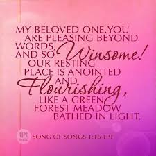 'jehovah my god, i am very young and i don't know how to rule. Song Of Songs 1 16 Tpt Special Friend Quotes Bible Songs Words